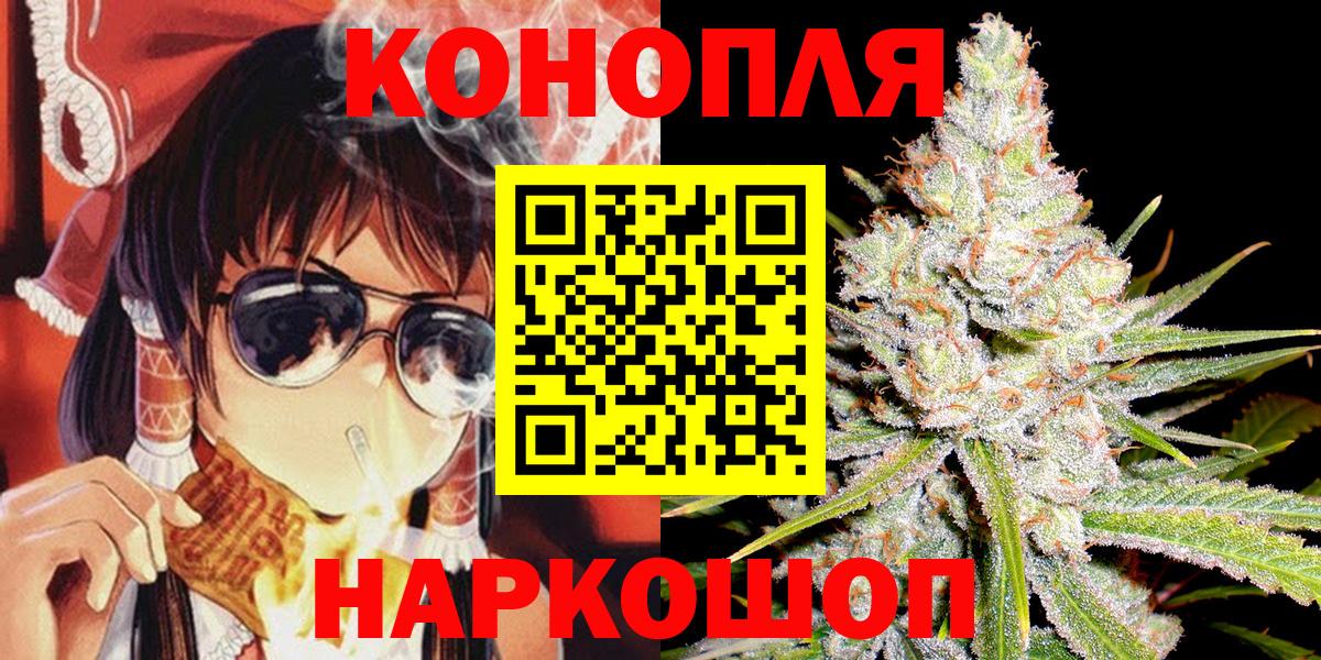 Бошки Шишки планчик Избербаш